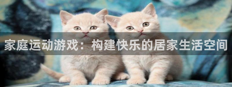 帮k1体育在线登录：家庭运动游戏：构建快乐的居家生活空间