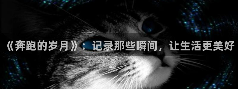 k1体育网站登录官网：《奔跑的岁月》：记录那些瞬间，让生活更美好