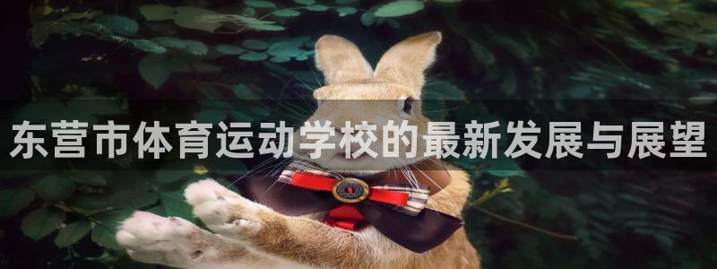 k1体育棋牌