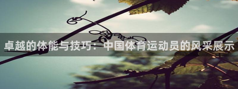 k1体育娱乐：卓越的体能与技巧：中国体育运动员的风采展示