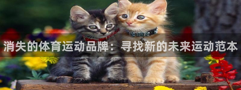 k1体育棋牌网址：消失的体育运动品牌：寻找新的未来运动范本