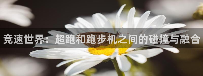 k1体育棋牌网址