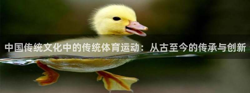 k1体育app下载链接：中国传统文化中的传统体育运动：从古至今的传承与创新